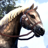 ON-icon-Horse 01 Forum Avatar.png