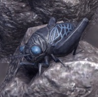 ON-creature-Cicada.jpg