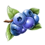 ON-icon-food-Berry 03.png