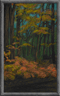 DF-race portrait background-Wood Elf.gif