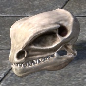 ON-furnishing-Argonian Skull, Complete.jpg