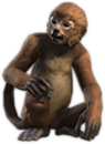 ON-concept-Monkey.png