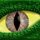 DFMOD-cover-Eye of Argonia Icon.png