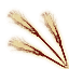 OB-icon-ingredient-Wheat.png