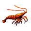 ON-icon-fish-Shrimp.png