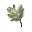 MW-icon-ingredient-Chokeweed.png