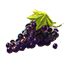 ON-icon-food-Jazbay Grapes.png