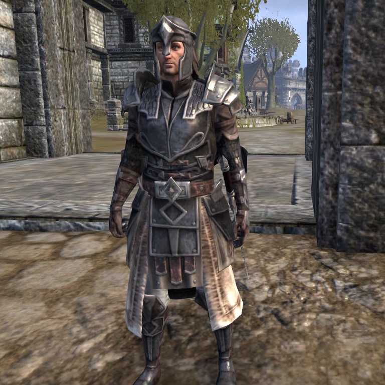Online:Kvatch Guard - The Unofficial Elder Scrolls Pages (UESP)