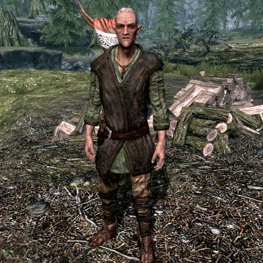 Skyrim faendal