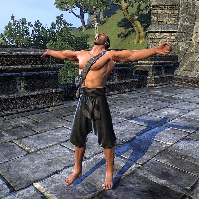 OnlineSwordSwallower's Blade The Unofficial Elder Scrolls Pages (UESP)