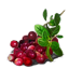 ON-icon-food-Snowberry.png