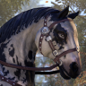 ON-icon-Horse 03 Forum Avatar.png