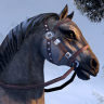 ON-icon-Horse 02 Forum Avatar.png