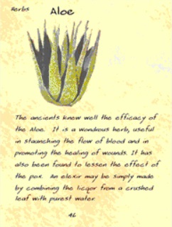 RG-book-Flora of Hammerfell 02.jpg