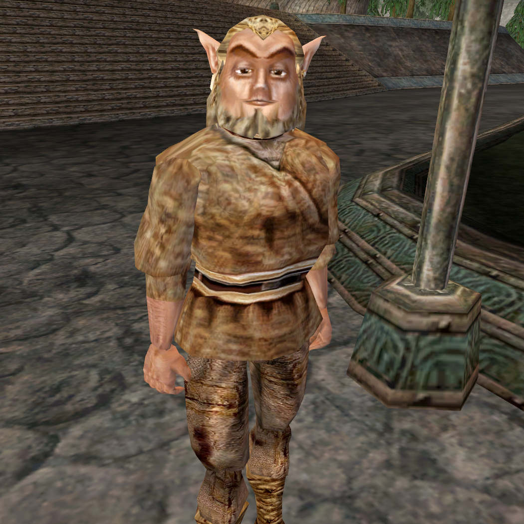 Bosmer morrowind