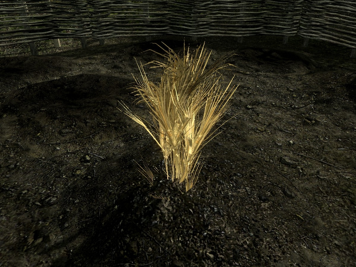 SR-flora-Wheat Planter.jpg 