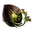 ON-icon-quest-Glenumbra Corrupted Seed.png