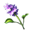 ON-icon-reagent-Water_Hyacinth.png