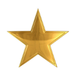 Shiny Gold Star.jpg