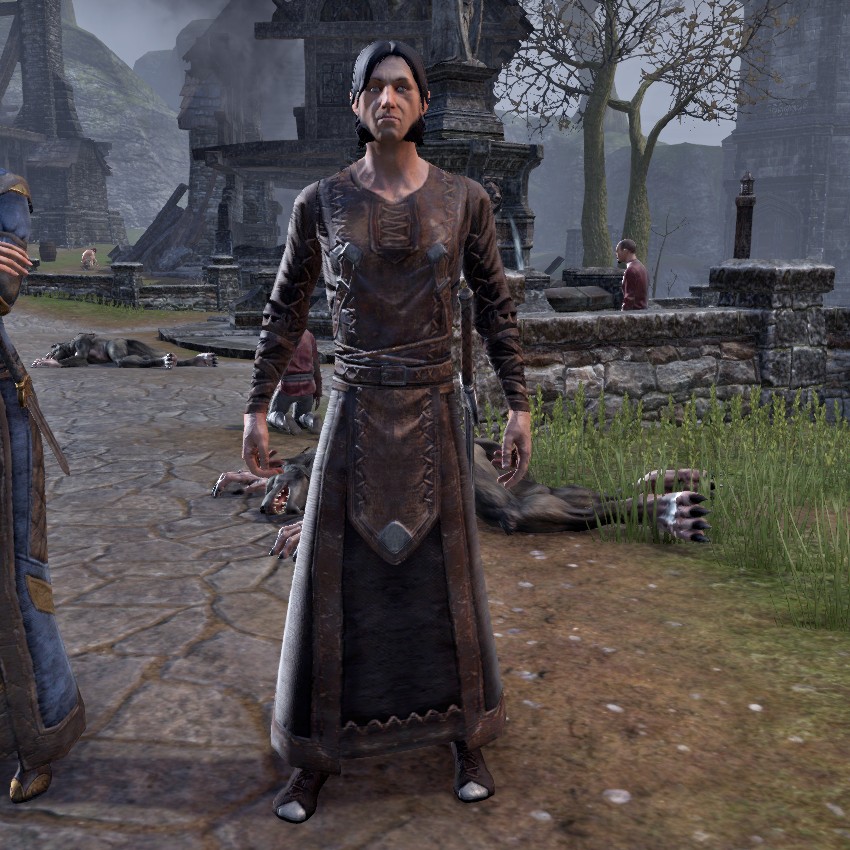 Elder Scrolls Wiki on X: Darien Gautier is a Breton captain of the Camlorn  Guard. Alinon the Alchemist describes him as a better tactician than his  father, General Gautier, even if he