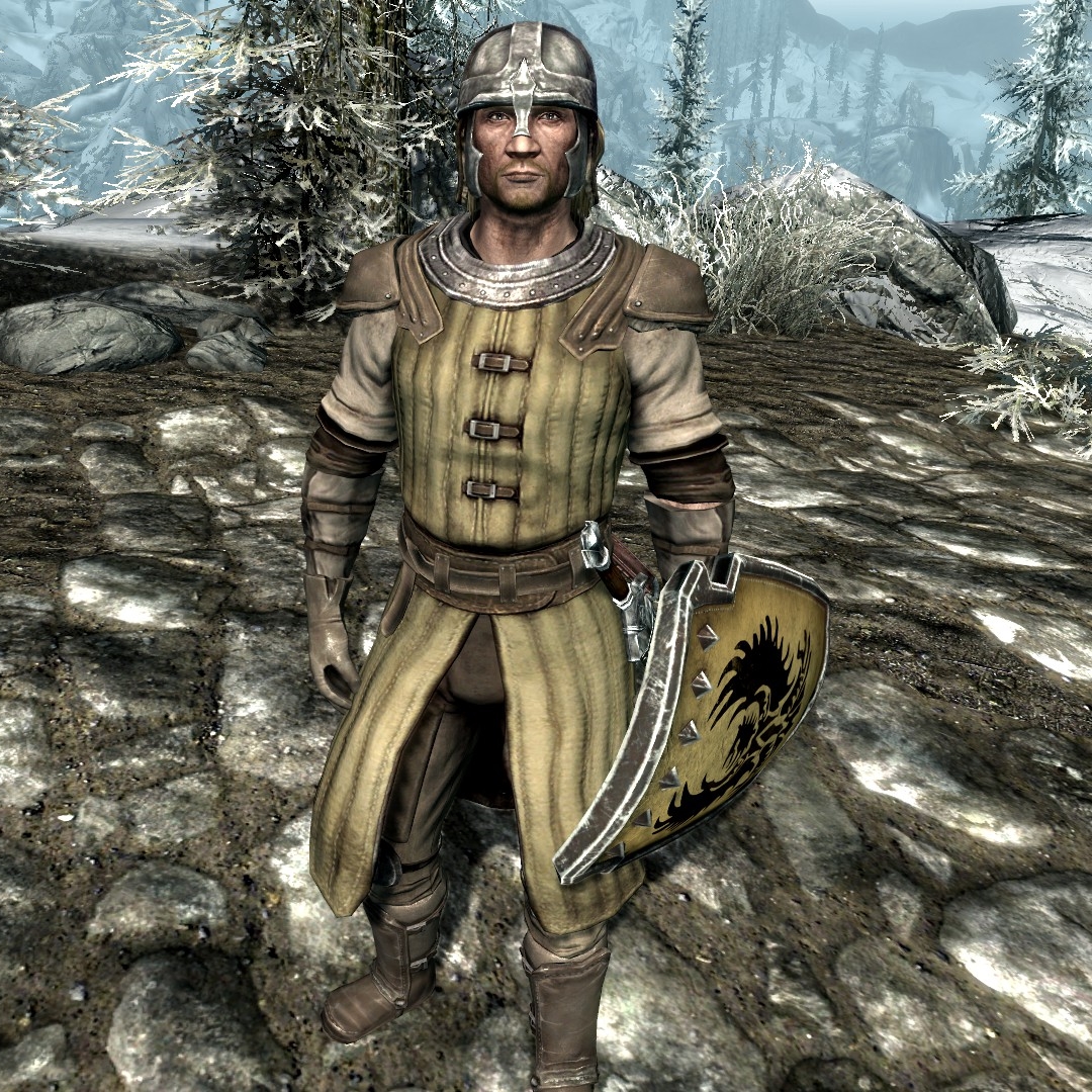 Beyond Skyrim:Cyrodiil/Bruma Guard - The Unofficial Elder Scrolls Pages ...