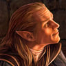 ON-icon-Homestead_High_Elf_Forum_Avatar.jpg