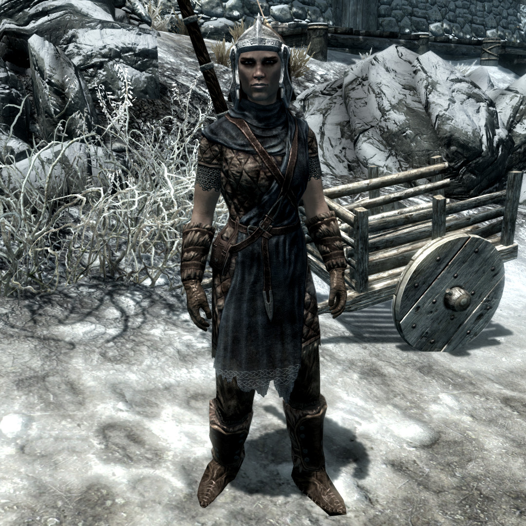 Skyrimstormcloak Guard The Unofficial Elder Scrolls Pages Uesp