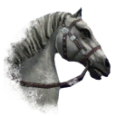 ON-icon-horse-White.png