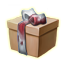 ON-icon-container-Midyear Giftbox.png