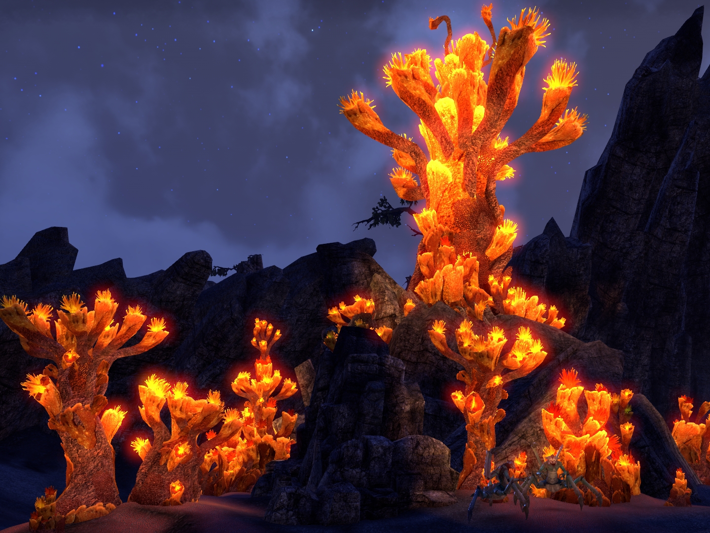 ON-place-Vivec%27s_Antlers_Land-Coral.jp