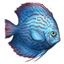 ON-icon-fish-Blue Turqoise Discus.png