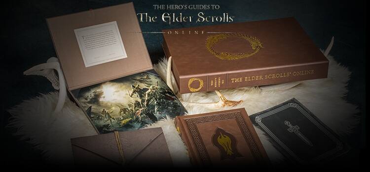 MER-The Hero's Guides to The Elder Scrolls Online.jpg