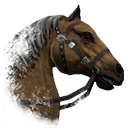 ON-icon-horse-Palomino.png
