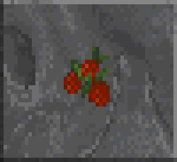 DF-icon-ingredient-Red berries.png