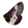 TD3-icon-ingredient-Buck Moth Wing.png