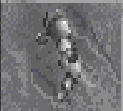 DF-armor-Steel Left Pauldron (female).jpg