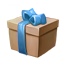 ON-icon-container-New Life Gift Box.png