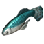 ON-icon-fish-Teal River Betty.png