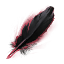 ON-icon-fragment-Smoke-Wreathed Griffon Feather.png