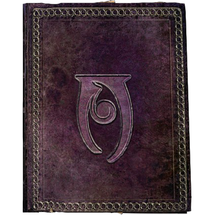 File:SR-icon-book-SpellTomeConjuration.png - The Unofficial Elder ...