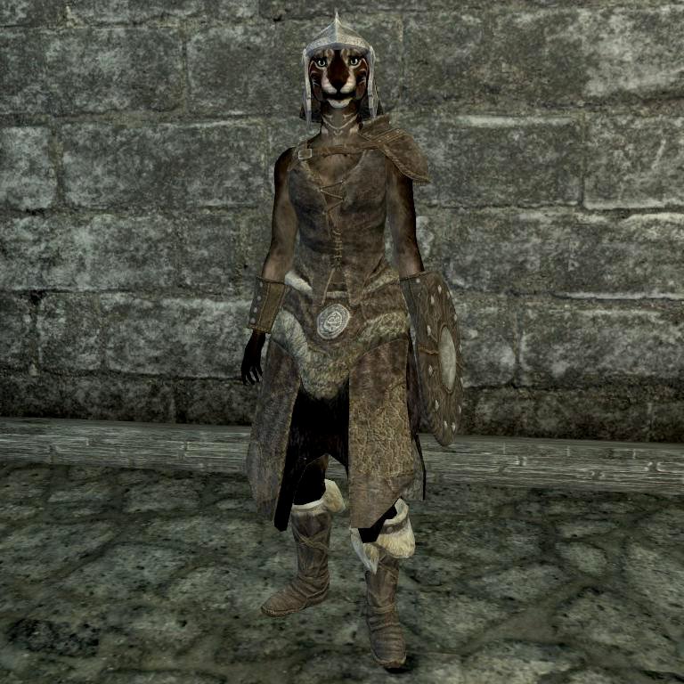 FileSRitemHide Armor Female.jpg The Unofficial Elder Scrolls Pages