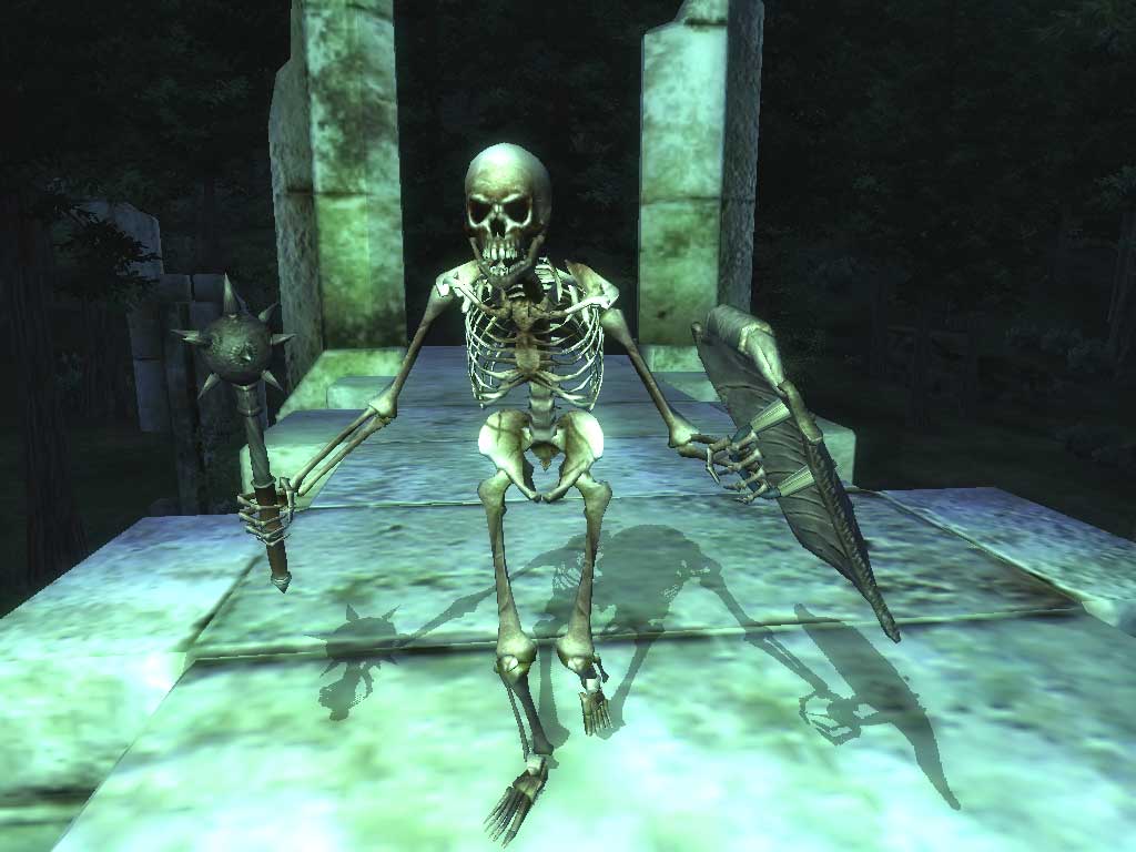 Читы скелет. The Elder Scrolls 4 Oblivion скелеты.