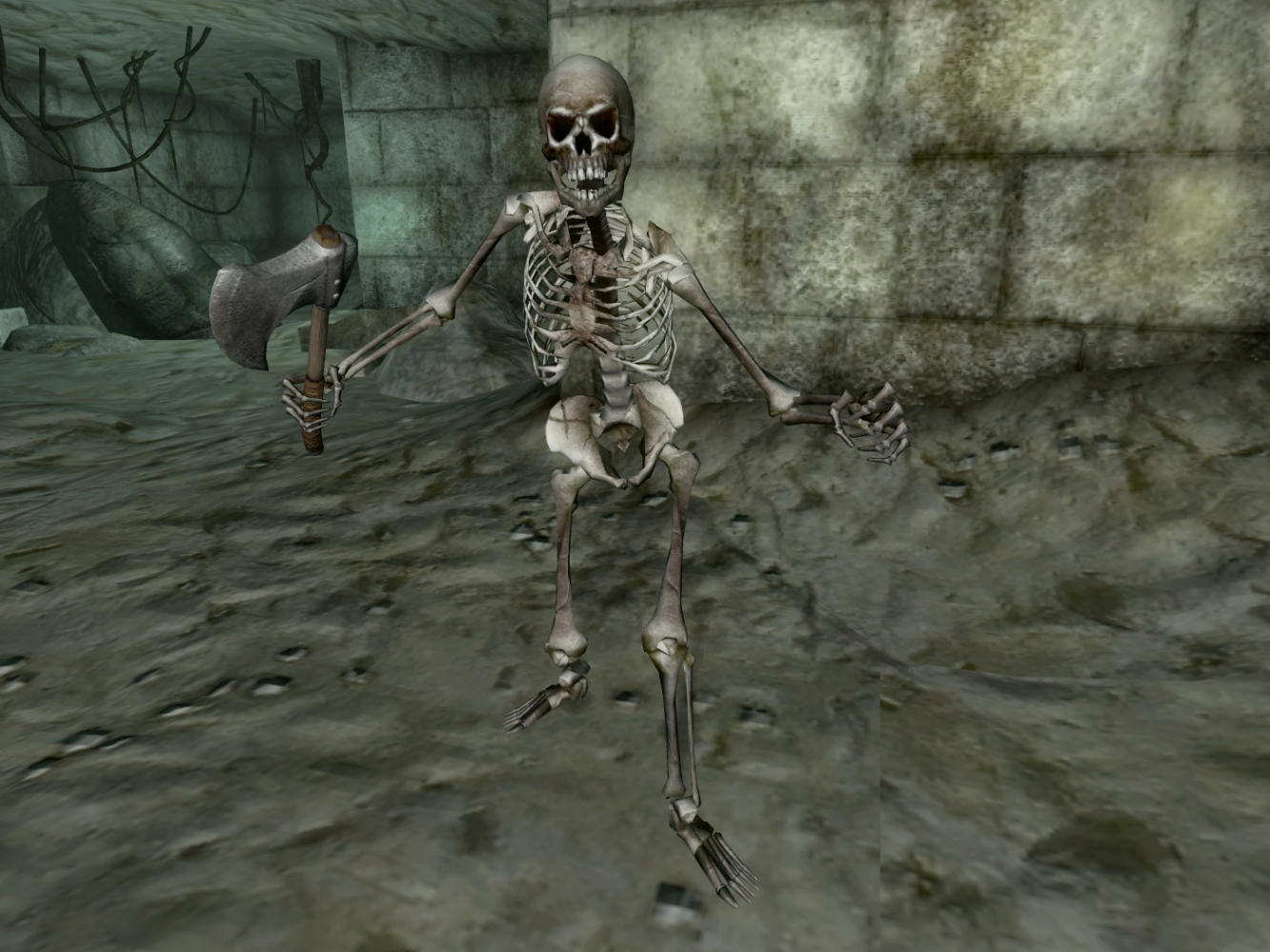Игра где убивают скелетов. The Elder Scrolls 4 Oblivion скелеты.