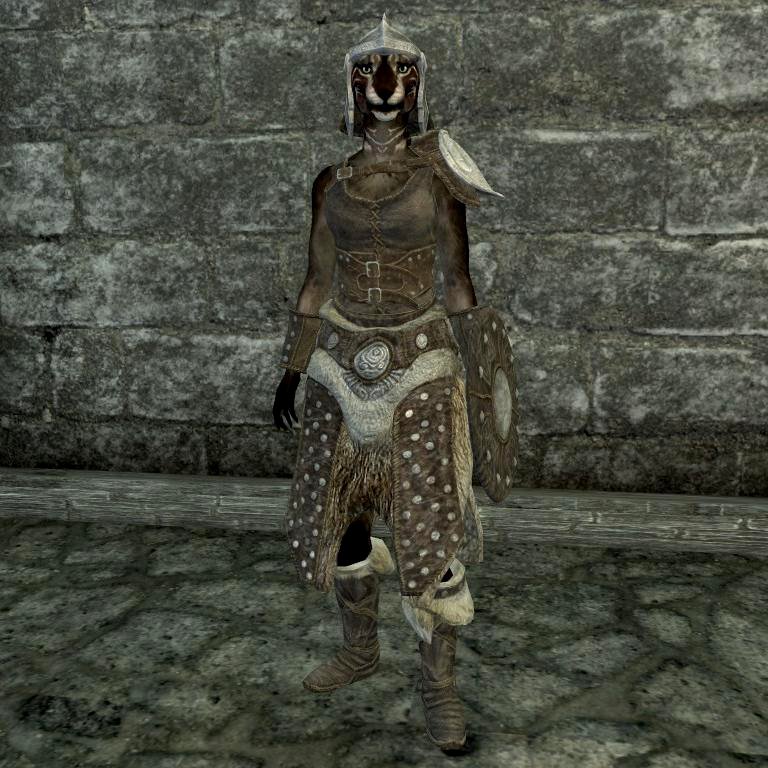 File:SR-item-Hide Armor Female 02.jpg - The Unofficial Elder Scrolls ...