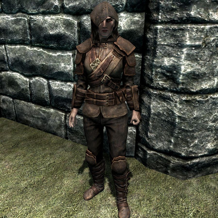 File:SR-item-Thieves Guild Alternate Armor Female.jpg - The Unofficial ...