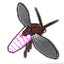 ON-icon-pet-Purple Torchbug.png