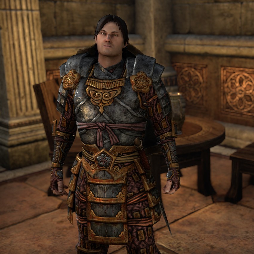 Elder Scrolls Wiki on X: Darien Gautier is a Breton captain of the Camlorn  Guard. Alinon the Alchemist describes him as a better tactician than his  father, General Gautier, even if he