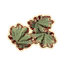 OB-icon-ingredient-Ladys Mantle Leaves.png
