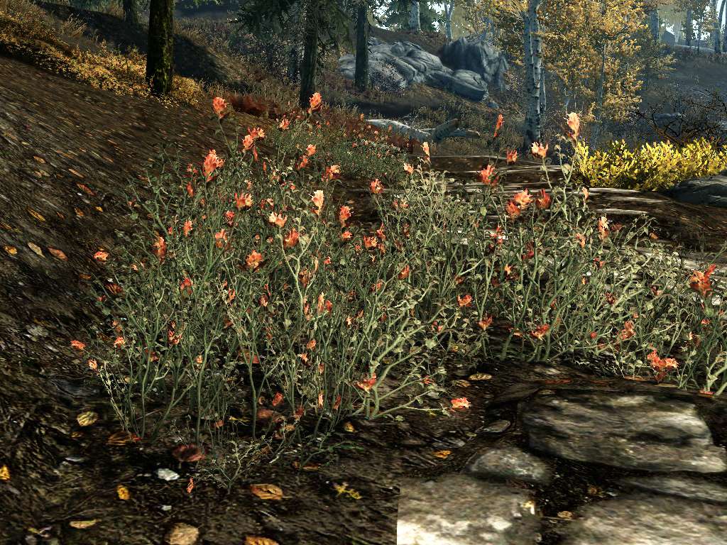 Skyrim Red Mountain Flower The
