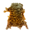 ON-icon-misc-Ragged Pelt.png